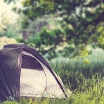 F&%k it with the Sharing Economy